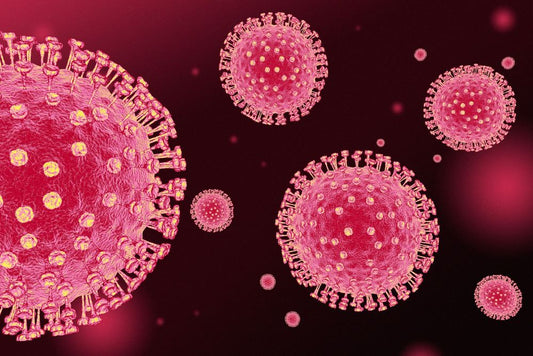 coronavirus bodies image