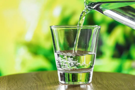 Importance of Water for a Healthy Kidney