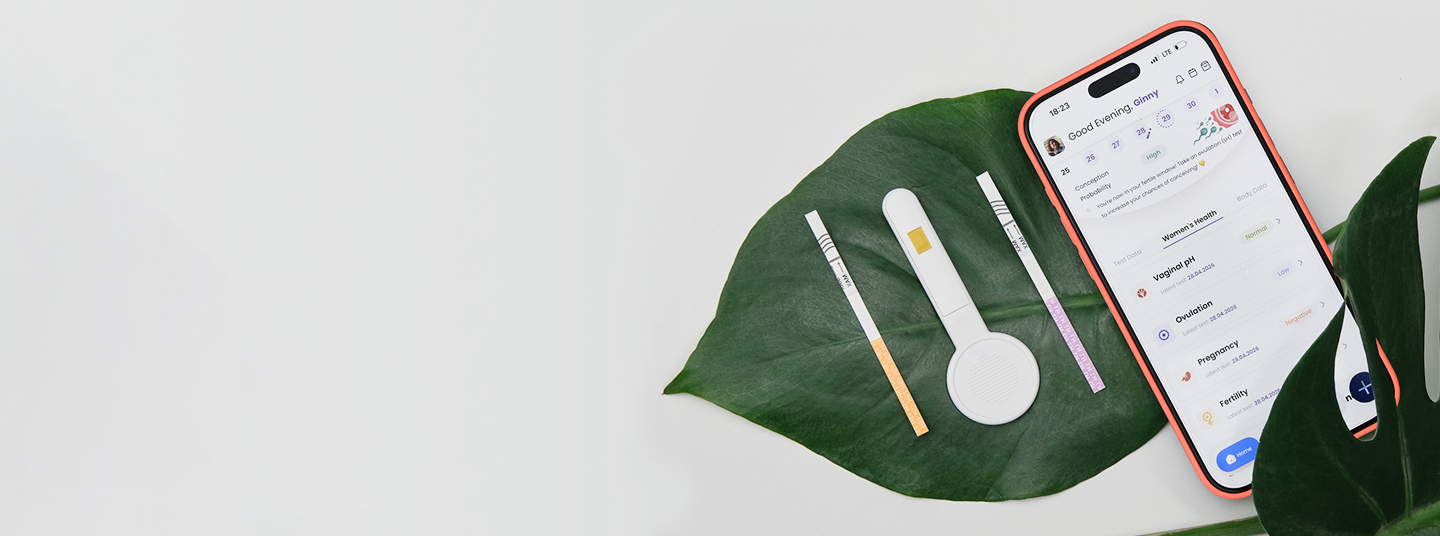 Banner Background