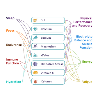 2. IBS symptoms can hide deficiencies