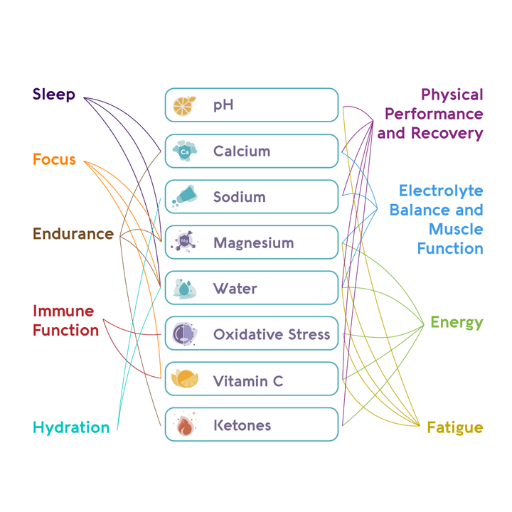 a connection chart that explains the benefits of vivoo urine test