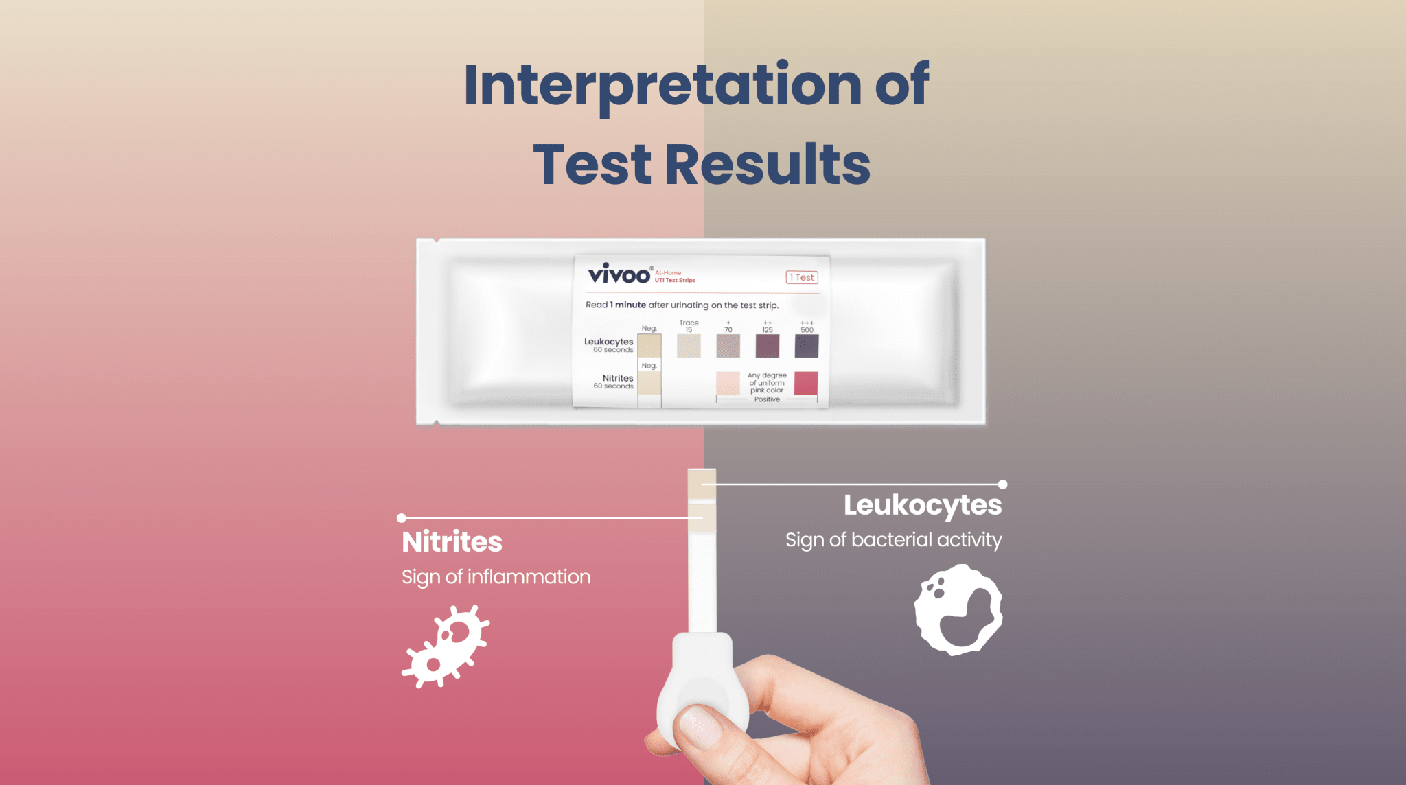 Vivoo uti test strip with interpretation of test results on a gradient background