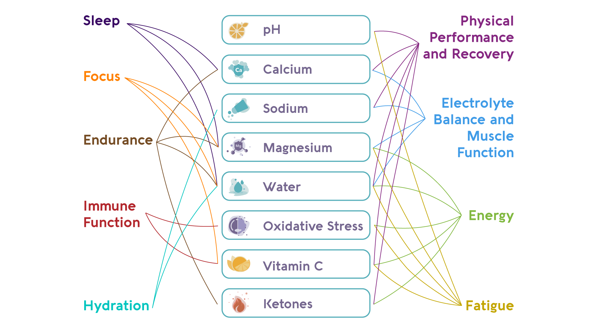 a connection chart that explains the benefits of vivoo urine test