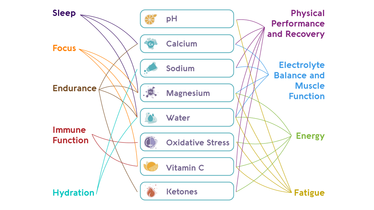 a connection chart that explains the benefits of vivoo urine test