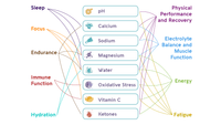 a connection chart that explains the benefits of vivoo urine test